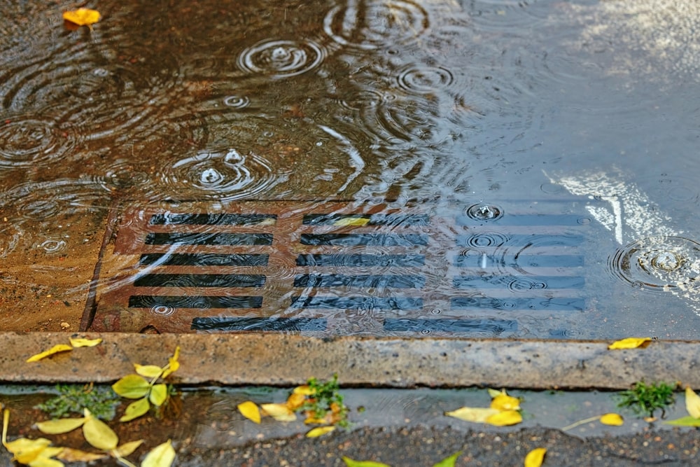 Drainage Issues in Older Alexandria Homes—What to Watch Out For - alexandria plumber